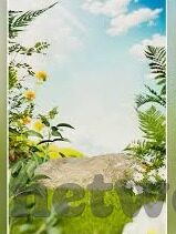 亚洲av日韩av蜜桃在线播放-亚洲与日韩AV内容，蜜桃在线播放的多元视角与文化探索